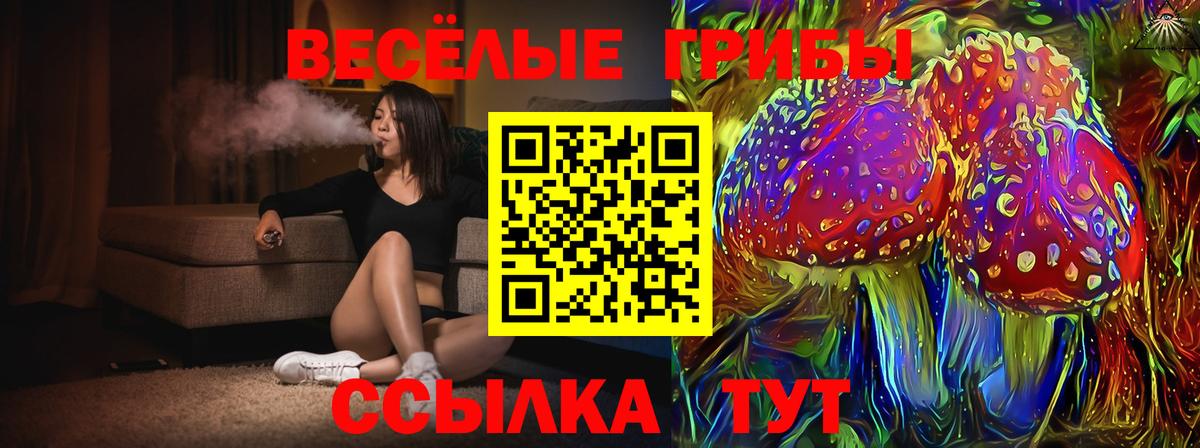 Псилоцибиновые грибы Psilocybe  Вход с VPN  Ессентуки  Галлюциногенные грибы Psilocybine cubensis 